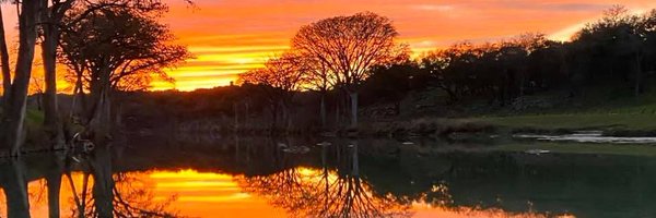 TexanTraci Profile Banner