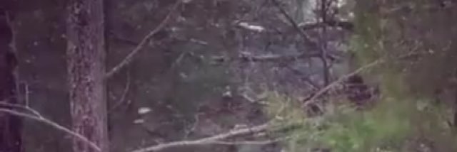 The Rhythm Method banner