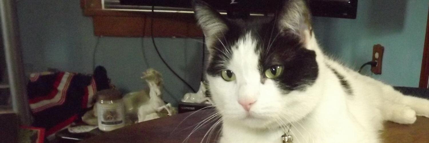 Lappear's Treasures banner