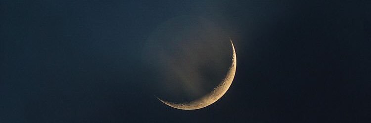 memetley's profile banner image