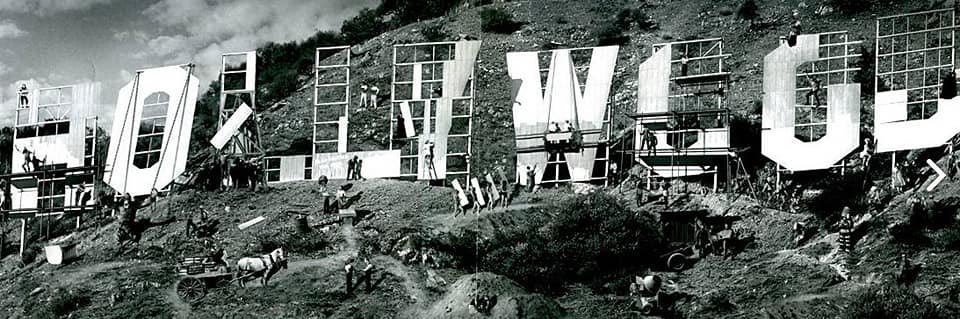 Michelle McLaughlin banner