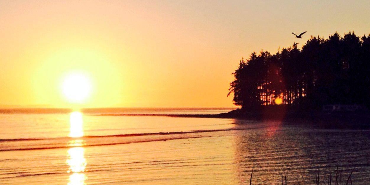 SaltWestNatural's profile banner image