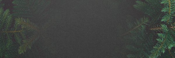 tarrydiggs Profile Banner