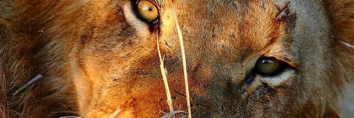 only1naf's profile banner image