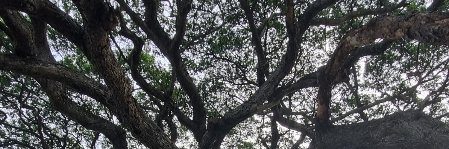 screwdiverse's profile banner image