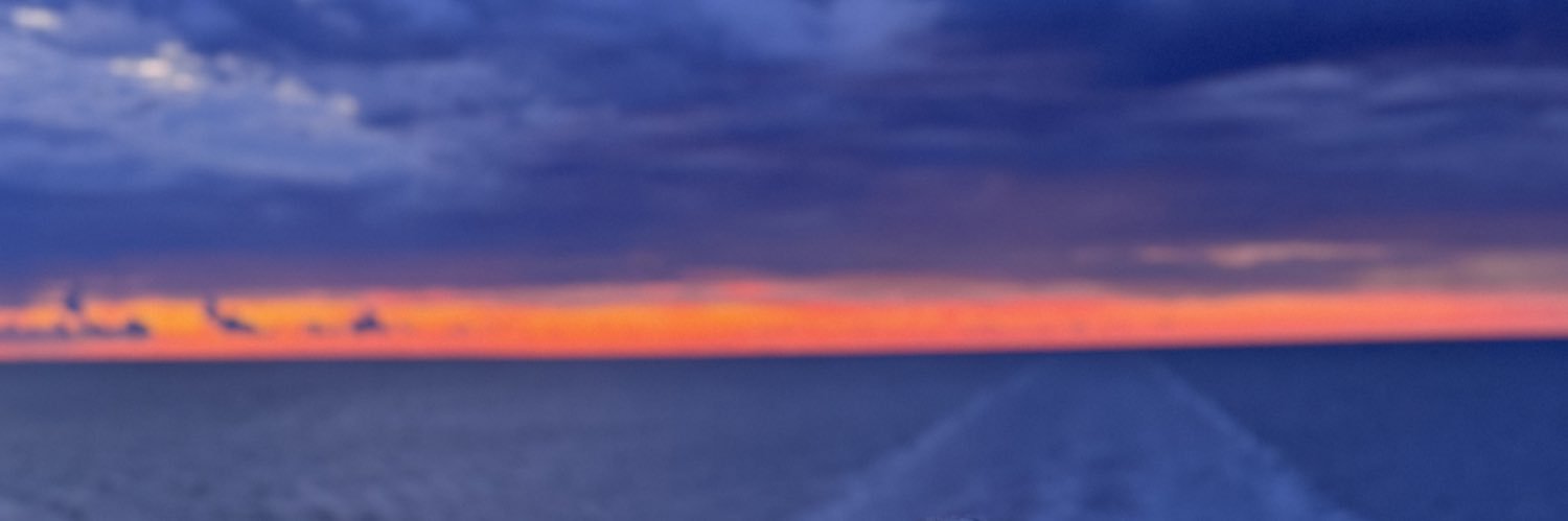 Sandra_PiNi__'s profile banner image