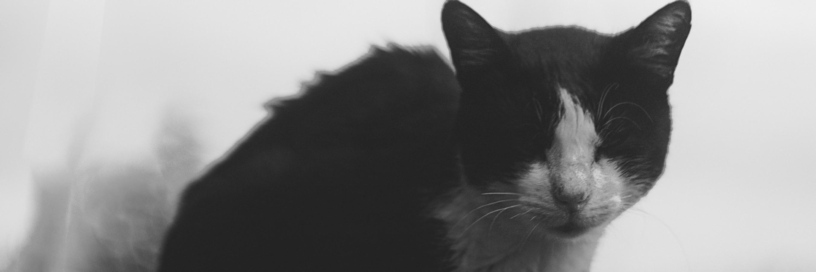 feelslikealex's profile banner image