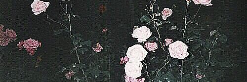 JSTKXO_'s profile banner image