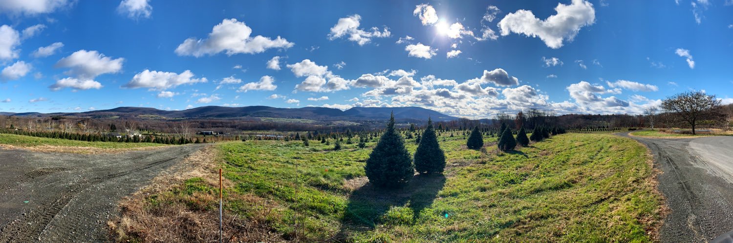 Michael Baird banner