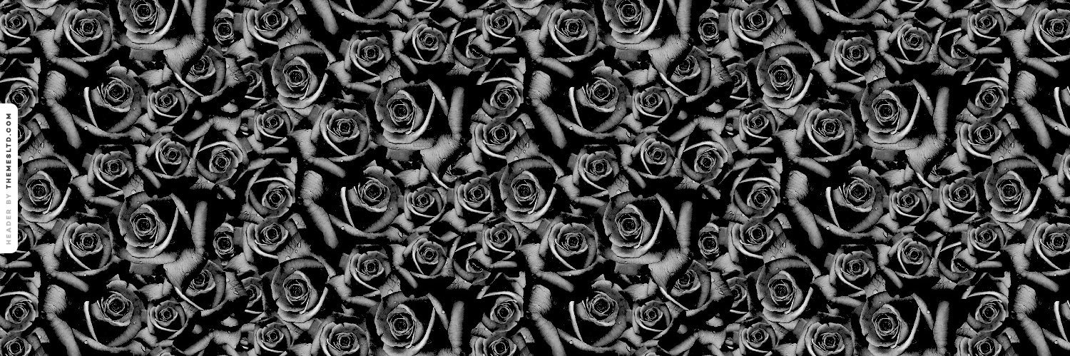 Savannah Ross banner