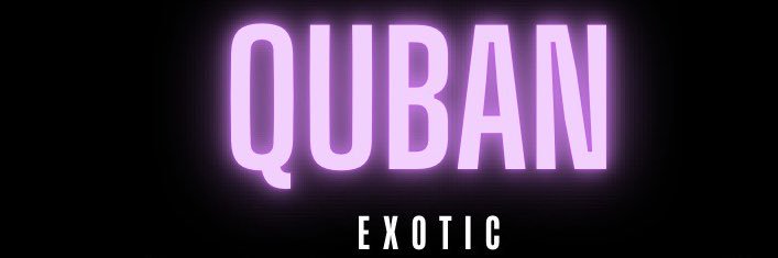 xsJania's profile banner image