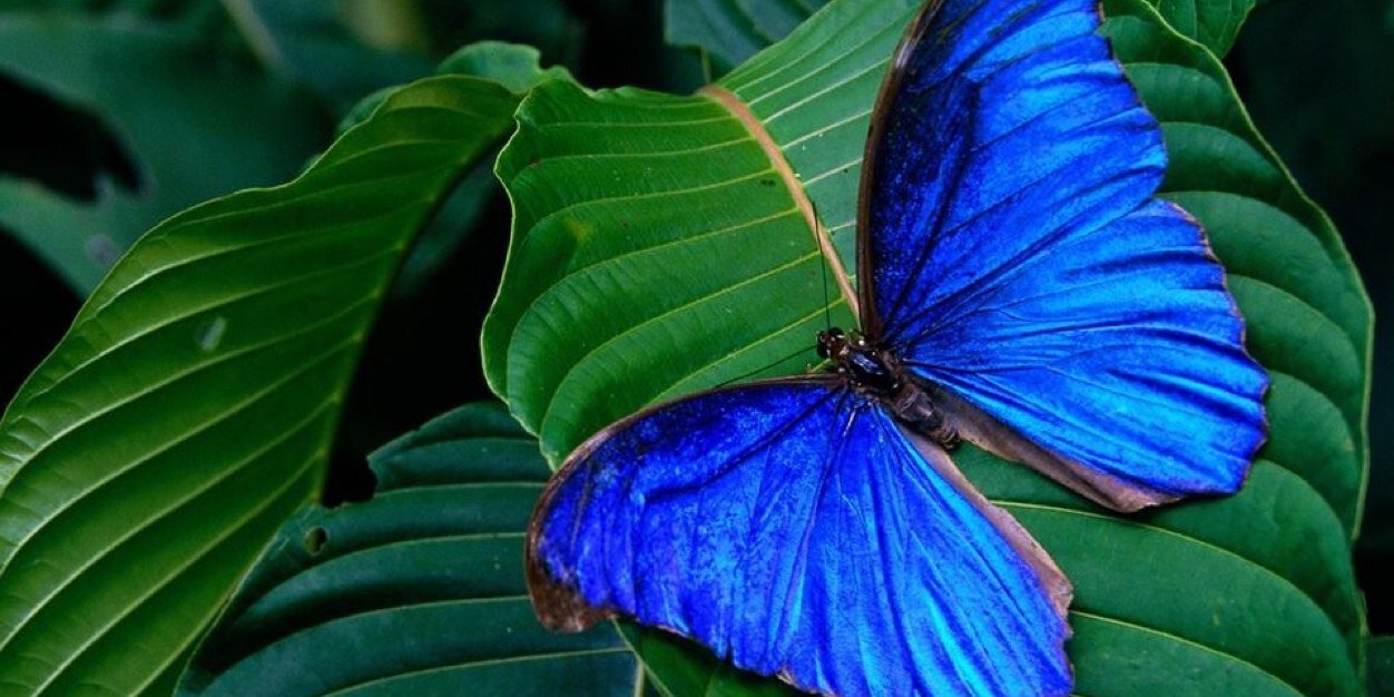 alscanbay's profile banner image