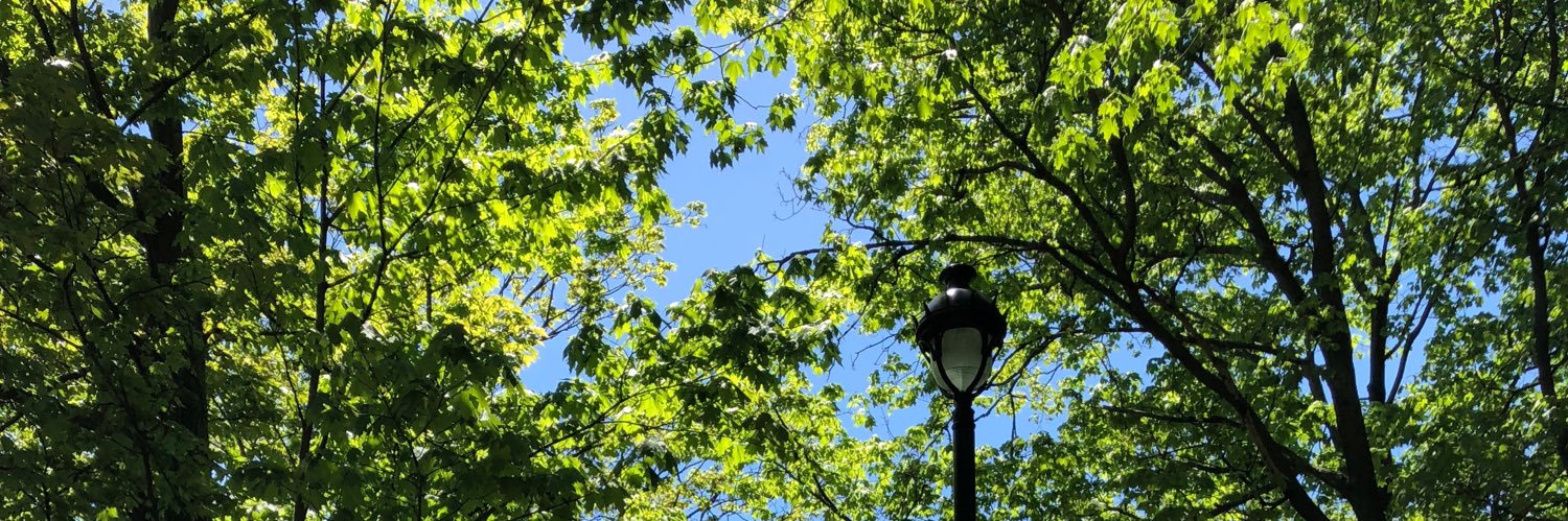 devgeauvreau's profile banner image