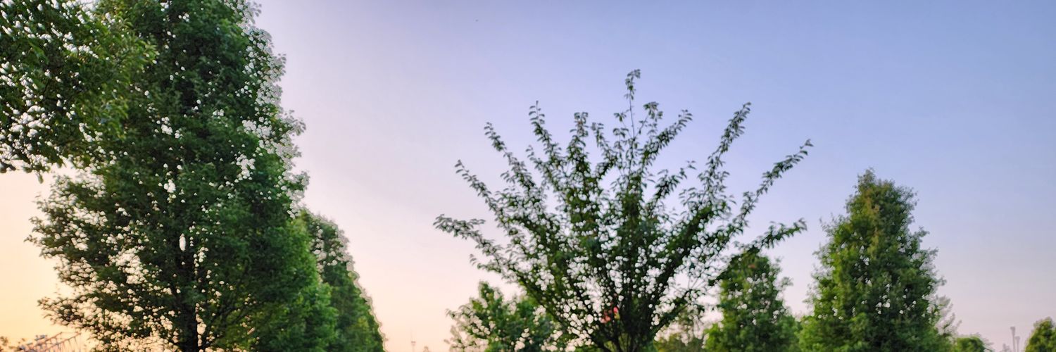 aschman0's profile banner image