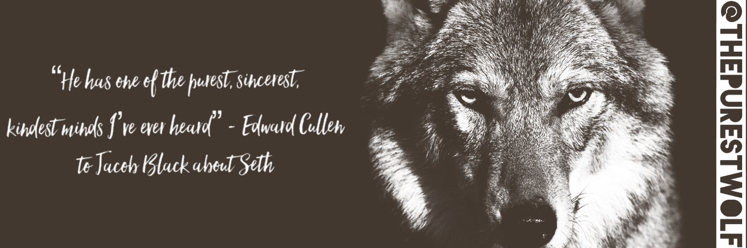 ThePurestWolf's profile banner image