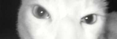 john_in_a_box's profile banner image