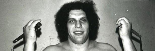maacchew's profile banner image