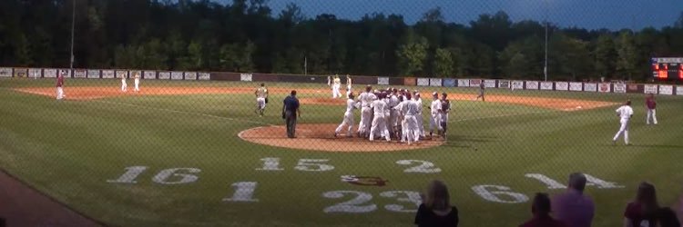 St. George’s Baseball banner