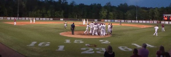 DiamondGryphs Profile Banner