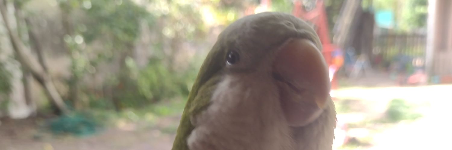 LoveraVane's profile banner image