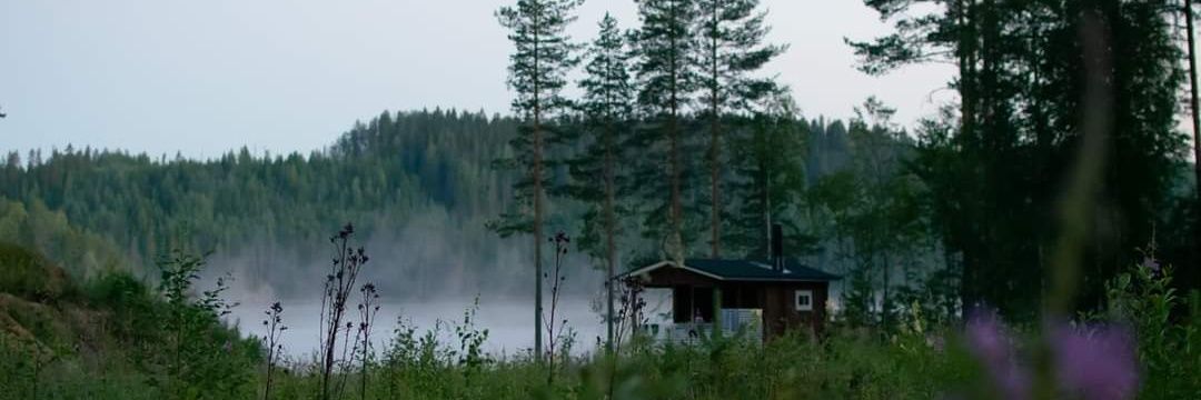 Anandamide⚗️ banner