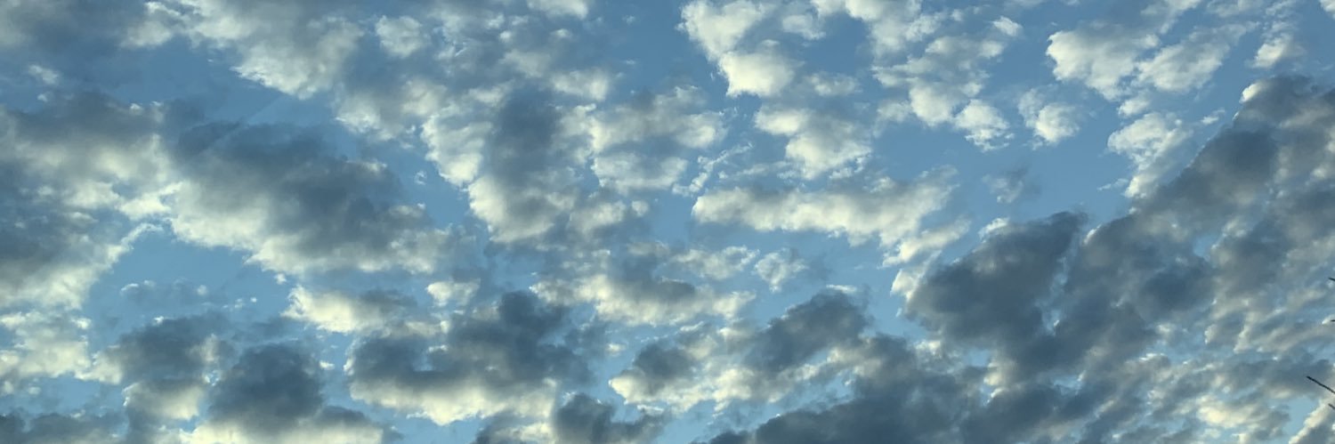 Mulannni's profile banner image