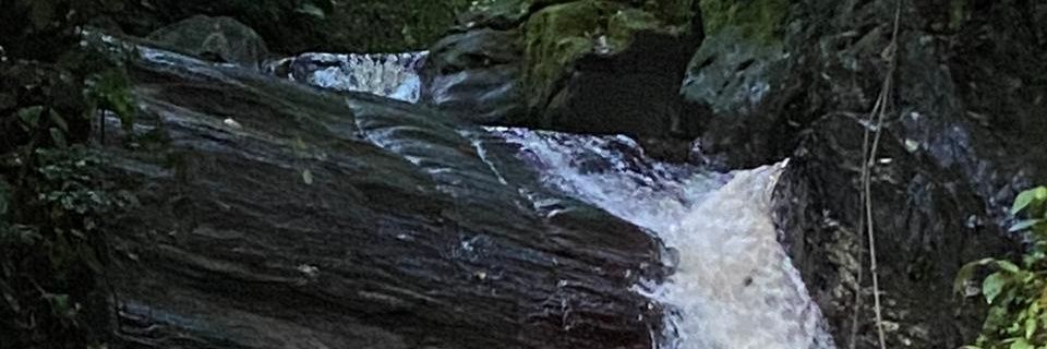 nevalnow's profile banner image