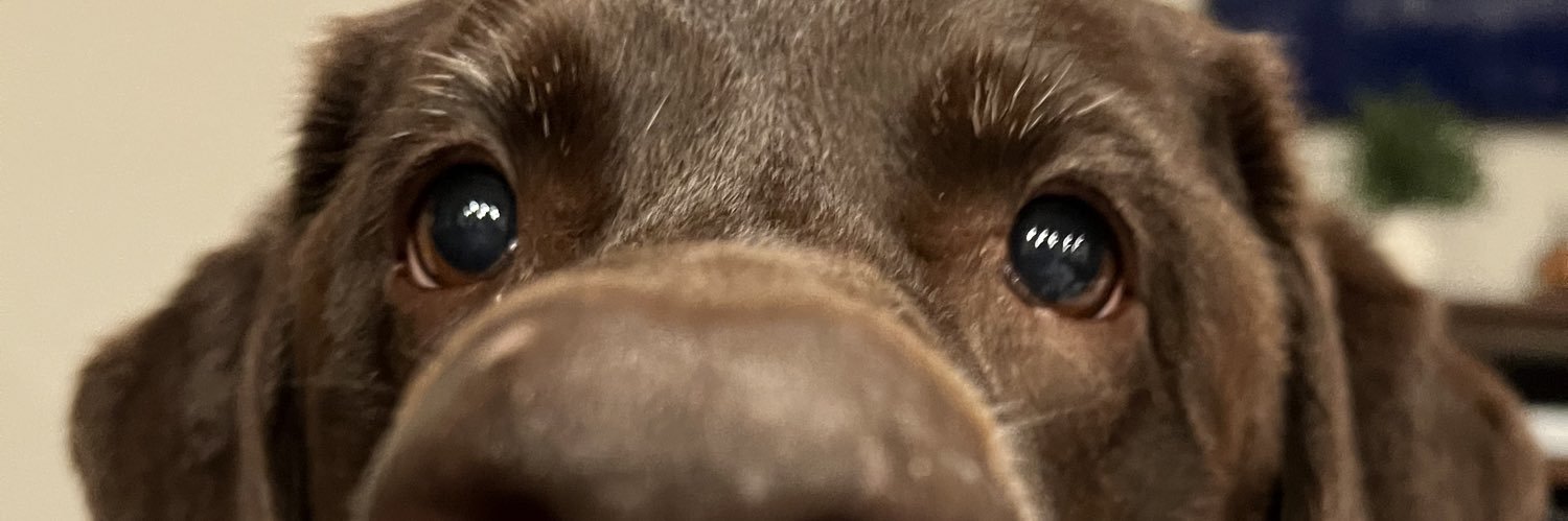 CaitlinYarbro's profile banner image