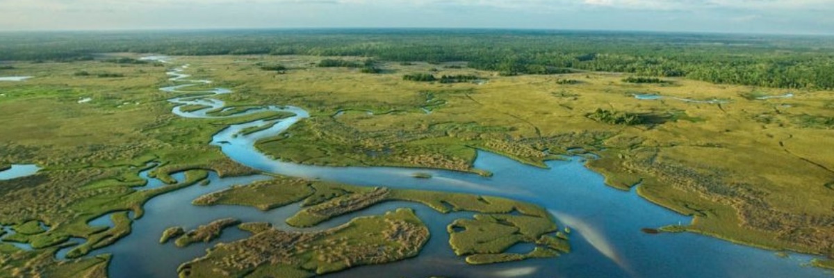 Everglades Trust banner