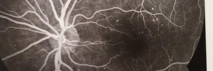 osmaroftal2's profile banner image