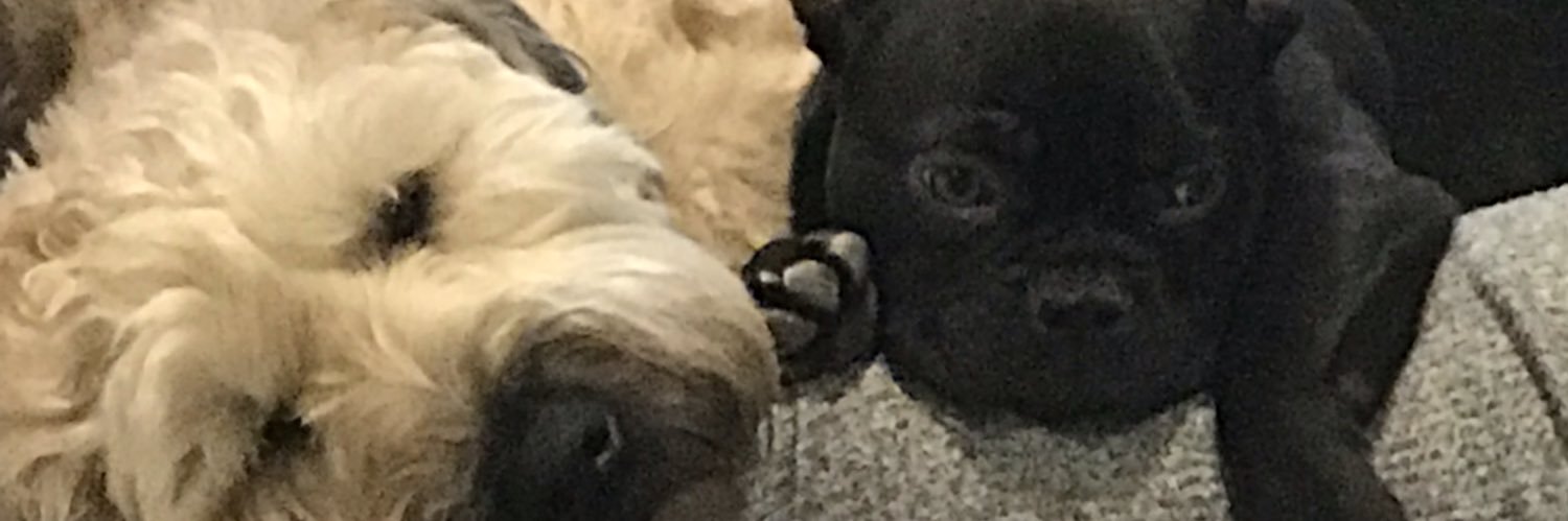 erin2511's profile banner image