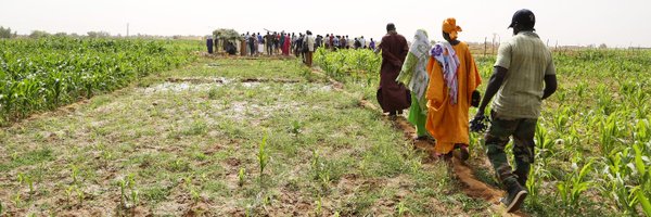 PROCASUR Profile Banner