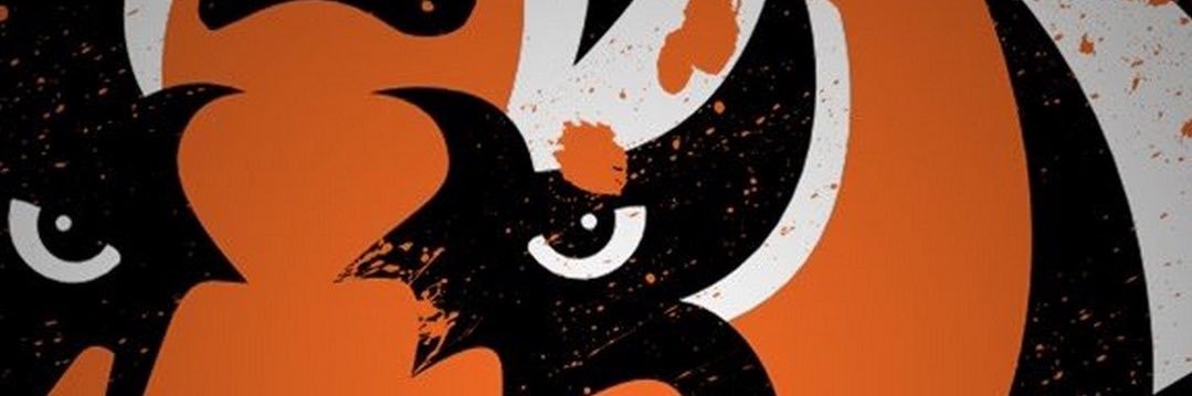 WhoDeyLoochi's profile banner image