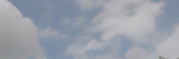 devitaadewi's profile banner image