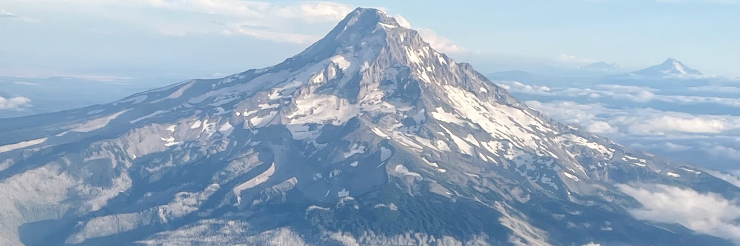 mindypoowho's profile banner image