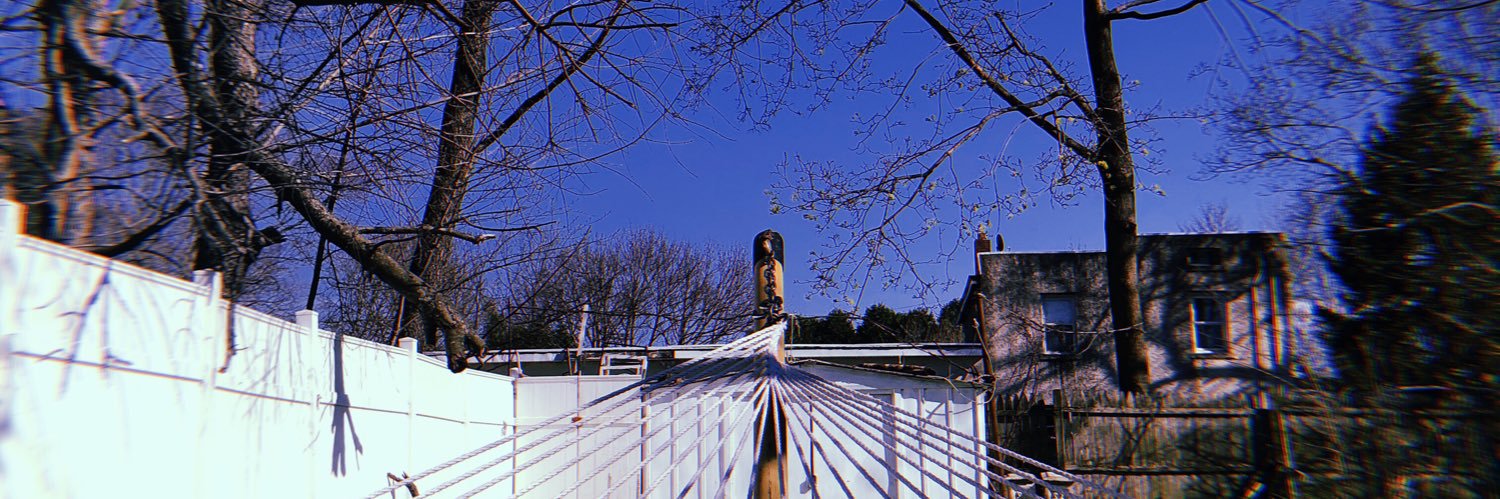 Lauren Nervegna banner