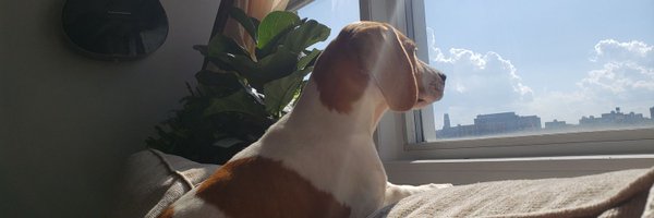 EzraCubero Profile Banner