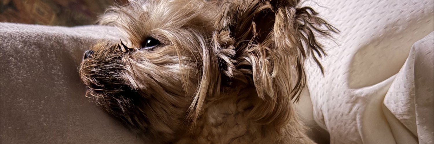 BenWilmore's profile banner image