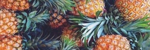 AngelPinia's profile banner image