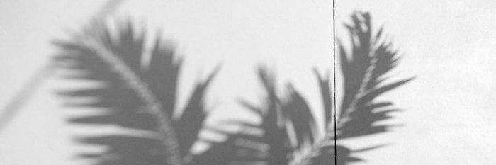SVillamonte's profile banner image