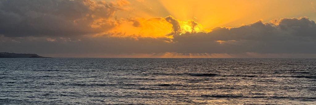 Beatriz Yanez banner