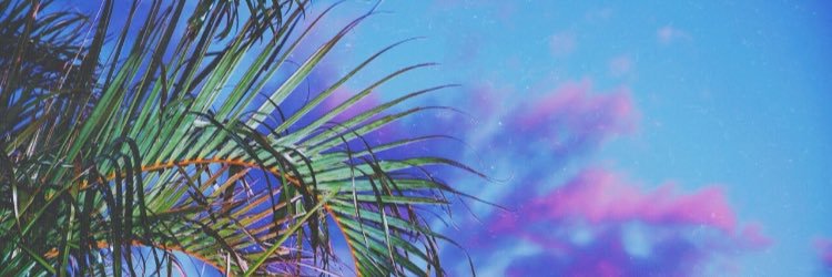 dholland_'s profile banner image