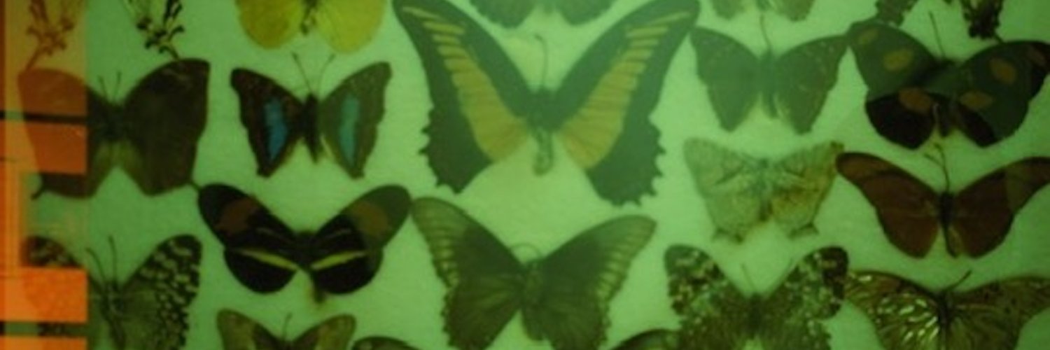 Macatier banner
