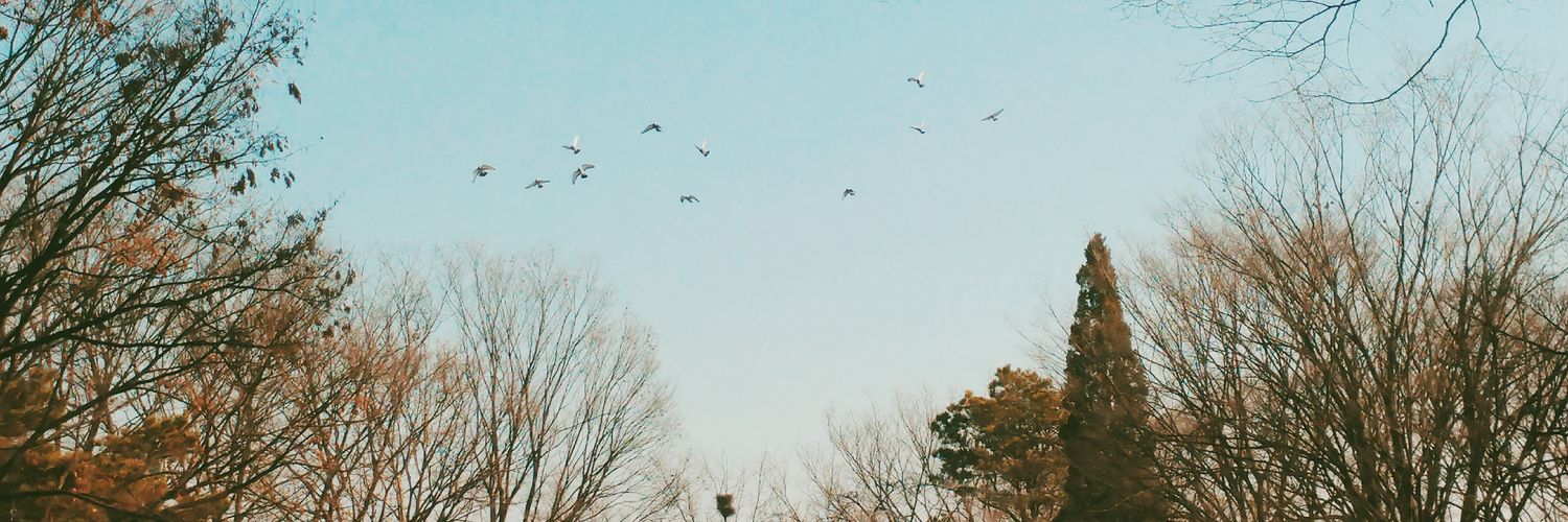 ivytorres18's profile banner image