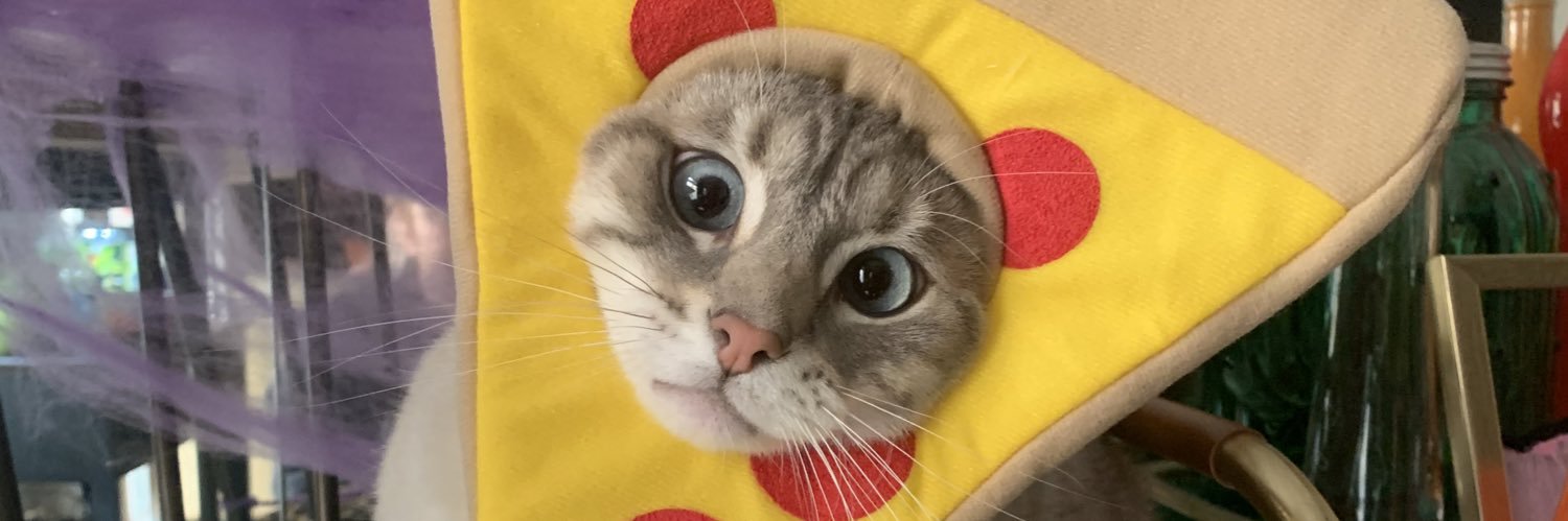 paydbailey's profile banner image