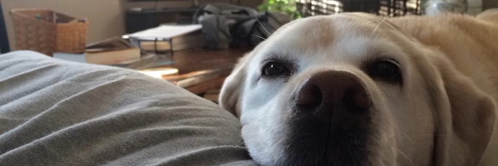 EddiePursinger's profile banner image
