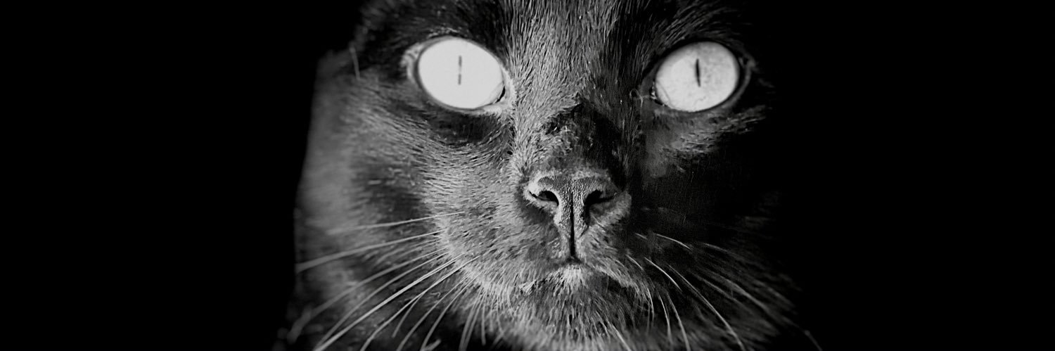 simongrma's profile banner image