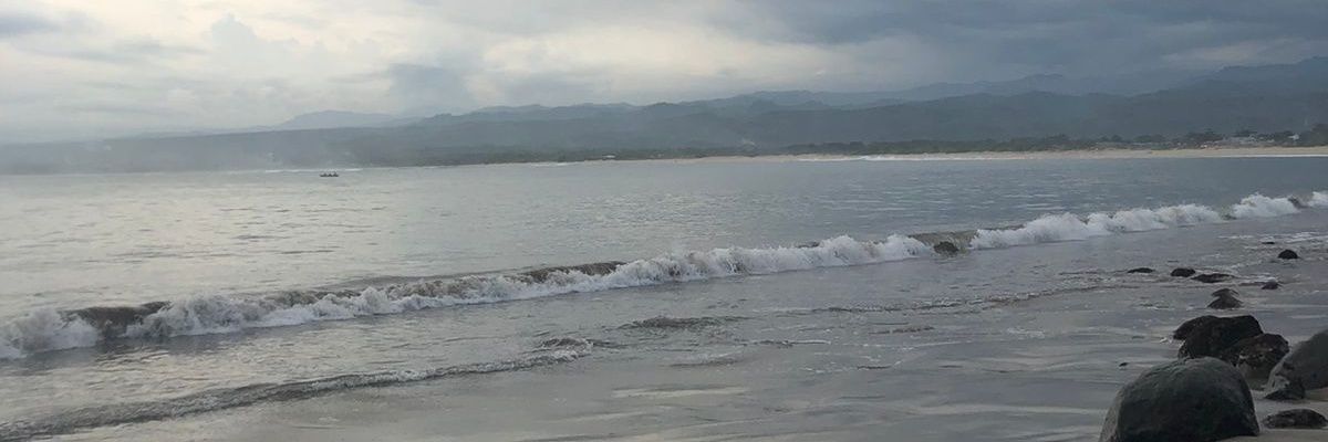 VixVixel's profile banner image