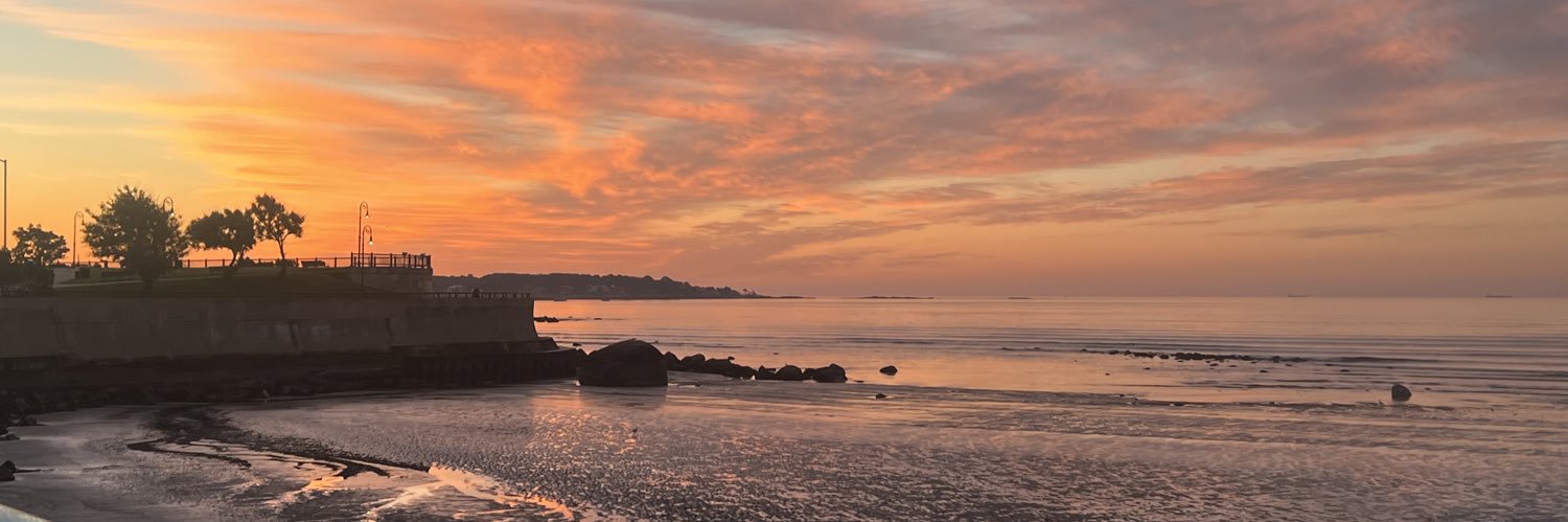 Friends of Lynn & Nahant Beach banner