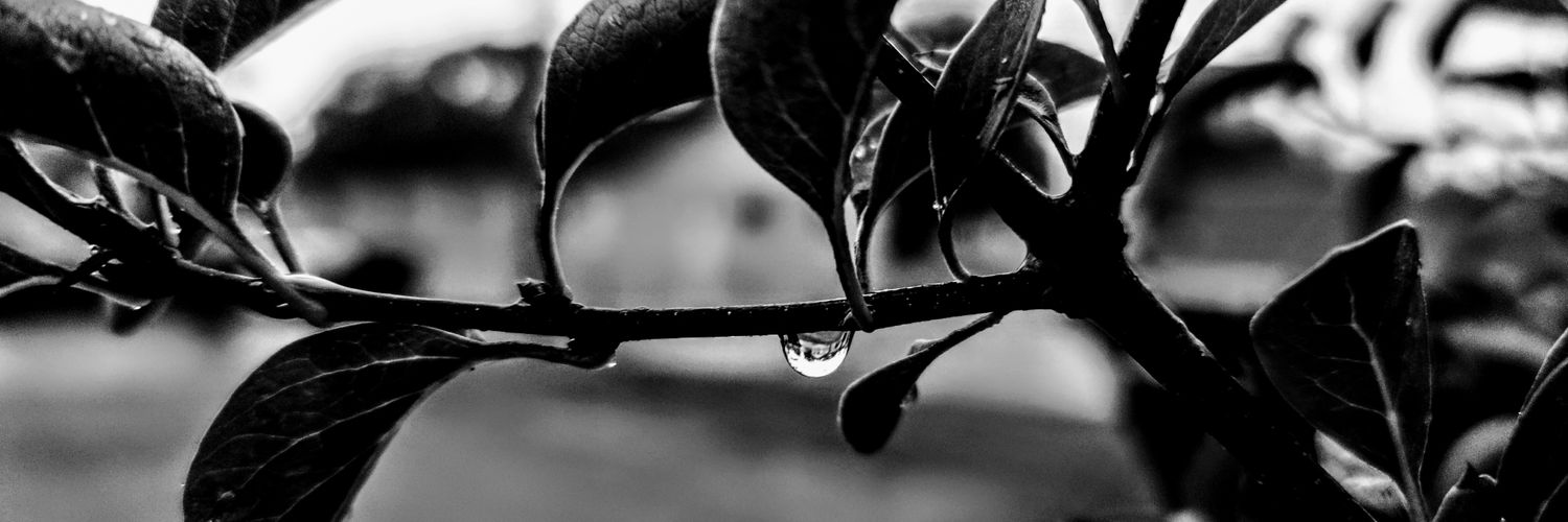 warrenabrahamso's profile banner image
